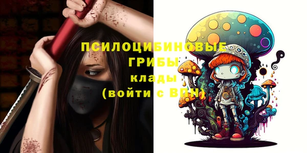 соль ск Волосово