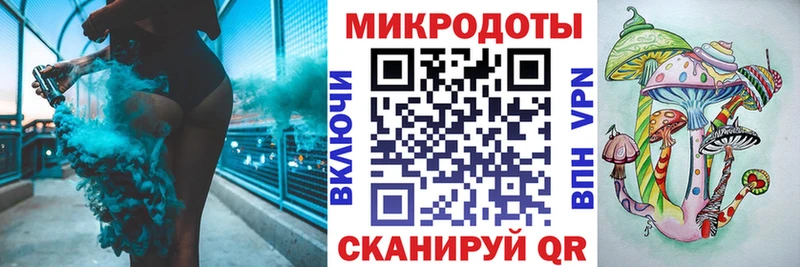 hydra   Смоленск  Галлюциногенные грибы Psilocybine cubensis 